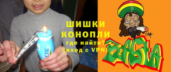 соль ск Богданович