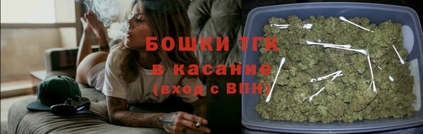 соль ск Богородицк