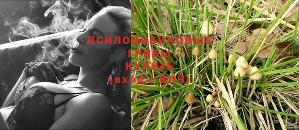соль ск Богданович