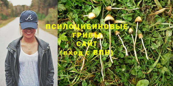 МДПВ Богородск