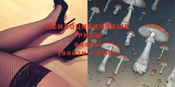 соль ск Богданович