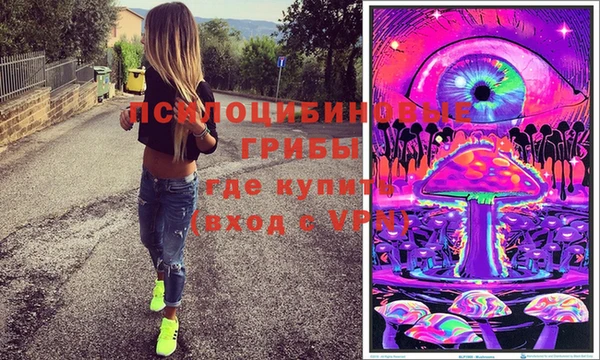 МДПВ Богородск