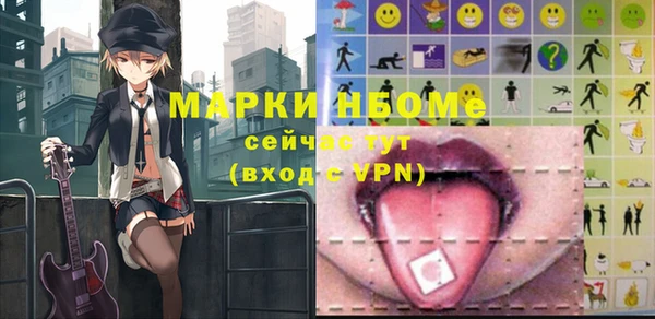 соль ск Богородицк