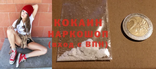 соль ск Богородицк