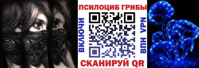 как найти   Велиж  Галлюциногенные грибы Cubensis 